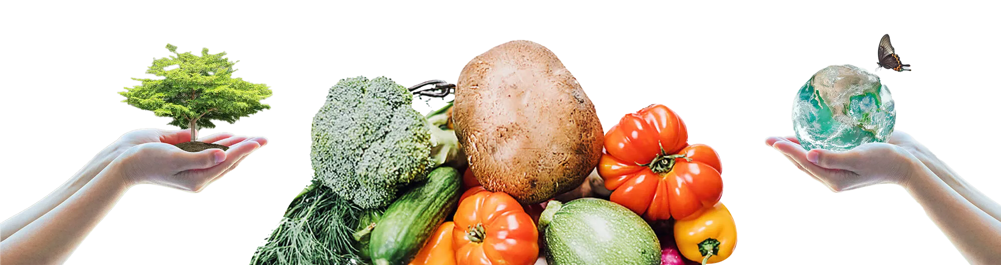 Vegetarianism & cultural harmony