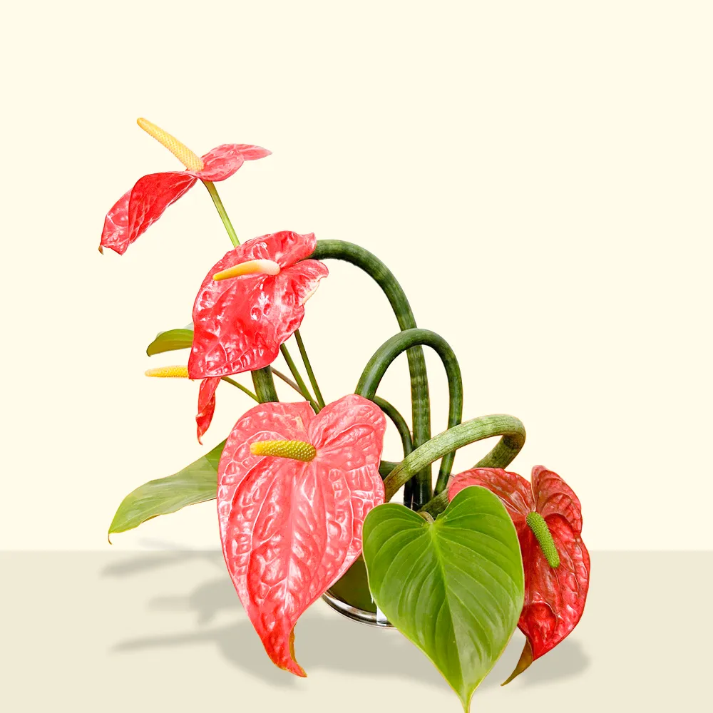 Floral arrangement